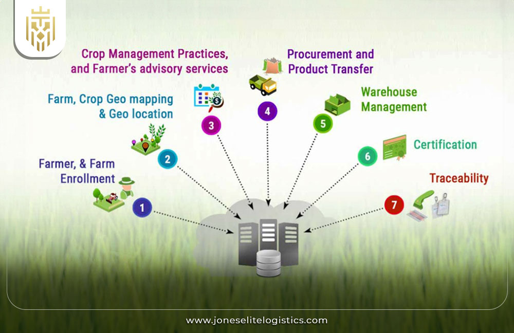 Supply Chain Management in Agriculture | JEL