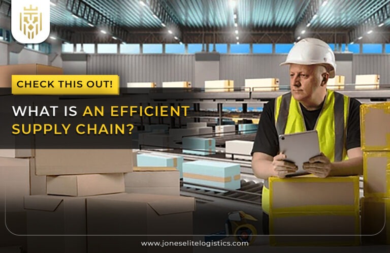 What is an Efficient Supply Chain? | JEL